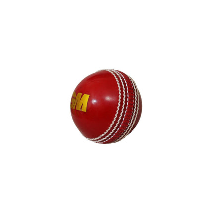 GM Skill Cricket Ball - Training Ball - Mill Sports 