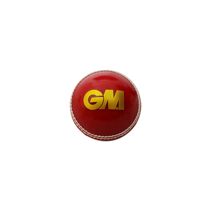 GM Skill Cricket Ball - Training Ball - Mill Sports 